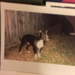 Meet your Posher, Caleb